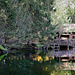 Es geht jetzt noch weiter zum Klieber Teich auf meinen Slow Trailweg in Millstatt :))  Now it's on to the Klieber pond on my Slow Trailweg in Millstatt :))  Je vais maintenant encore plus loin vers l'étang Klieber sur mon sentier Slow Trail à