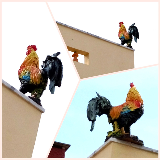 A rooster that crows to the challenge of the four winds