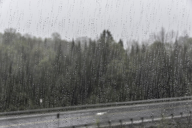 an einem Regentag in Huntsville (Ontario) ... (© Buelipix)