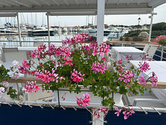 Harbour view with fence.