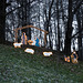 Postua 2014 (Vercelli), Nativity scenes and other - The Nativity in the forest