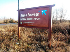 Bayou Sauvage