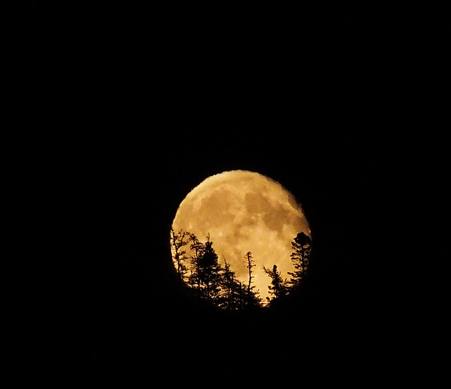 Moon rising over the hill across the Arm last night