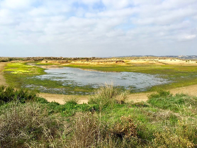 Alvor Estuary (2014)