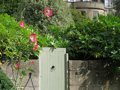 IMG 6599-001-Garden Door