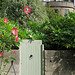 IMG 6599-001-Garden Door