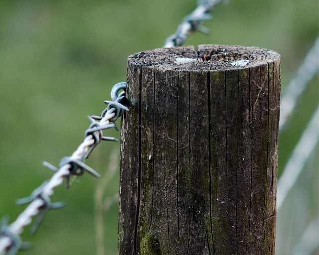 Barbed Wire Fence