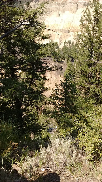 Yellowstone' s falls / Chute Yellowstonienne