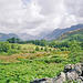 Looking towards Wastwater from near Nether Wasdale (Scan from Aug 1992)