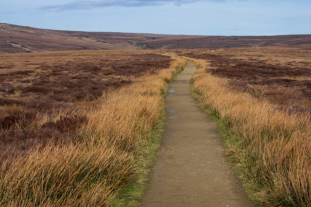 Pennine Way footpath