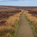 Pennine Way footpath