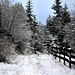 Snowy Fence!