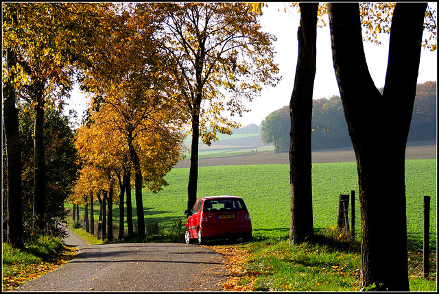 Autumn colors