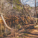 Trail, Eno River