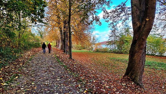 Sonntagsspaziergang im November