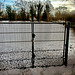 Wet fence - WFF!
