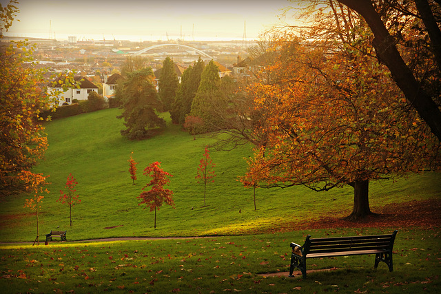 Autumn  Afternoon Light