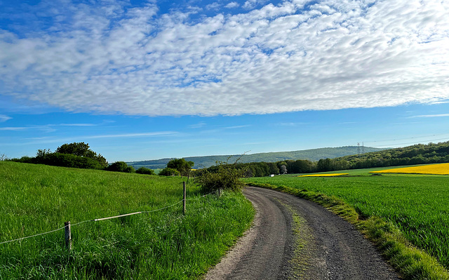 Auf dem Weg nach Heppingen