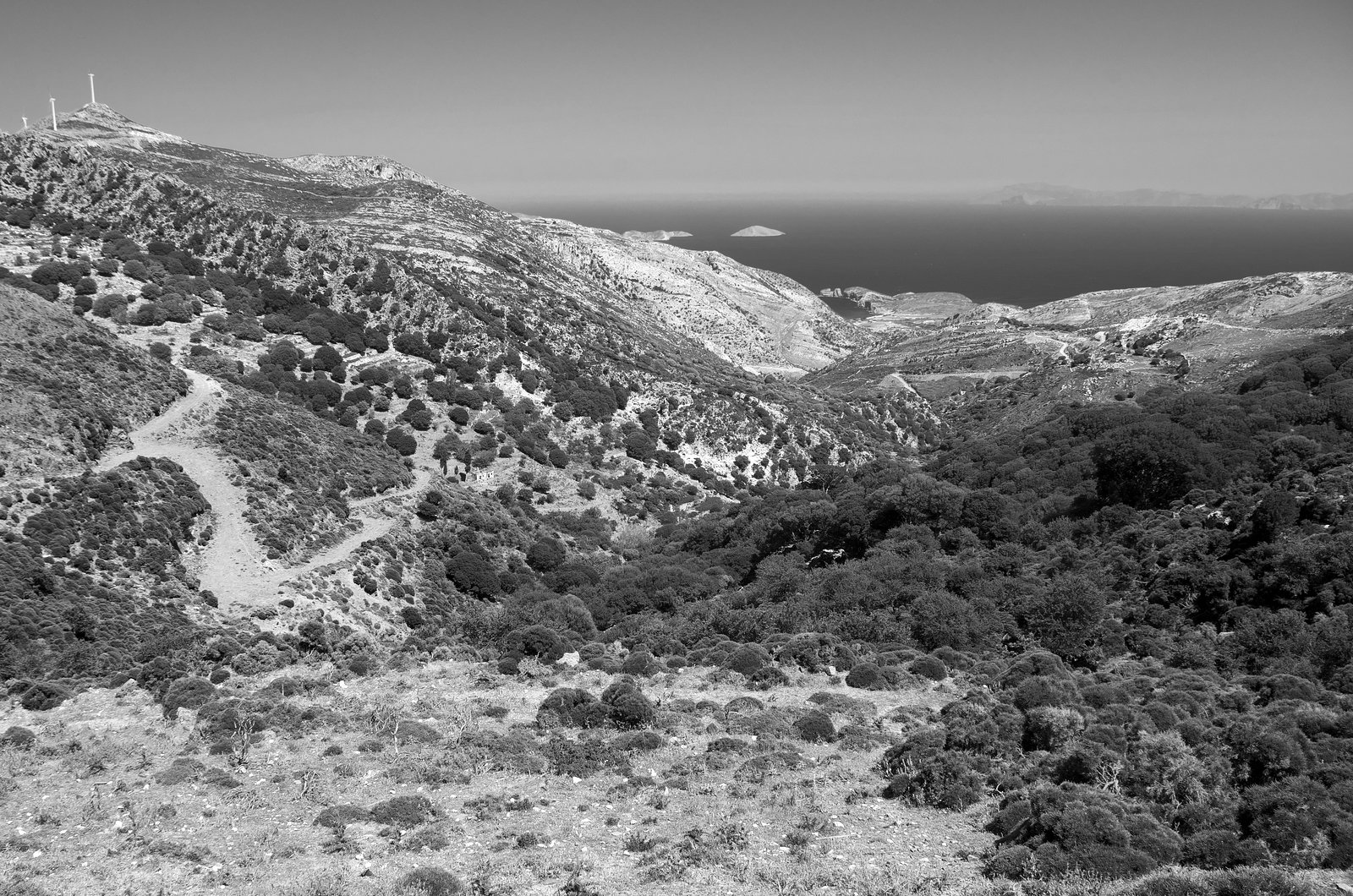 Landscape on Naxos