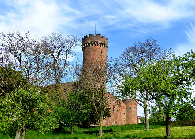 DE - Zülpich - Kurkölnische Landesburg