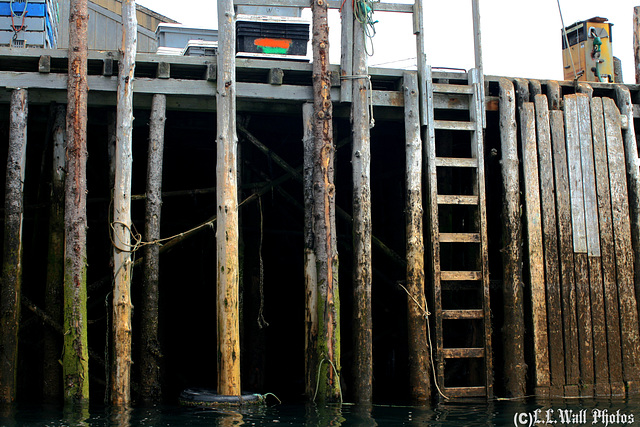 Far Under the Cutler Dock (Low Tide: Ladder Is Important)