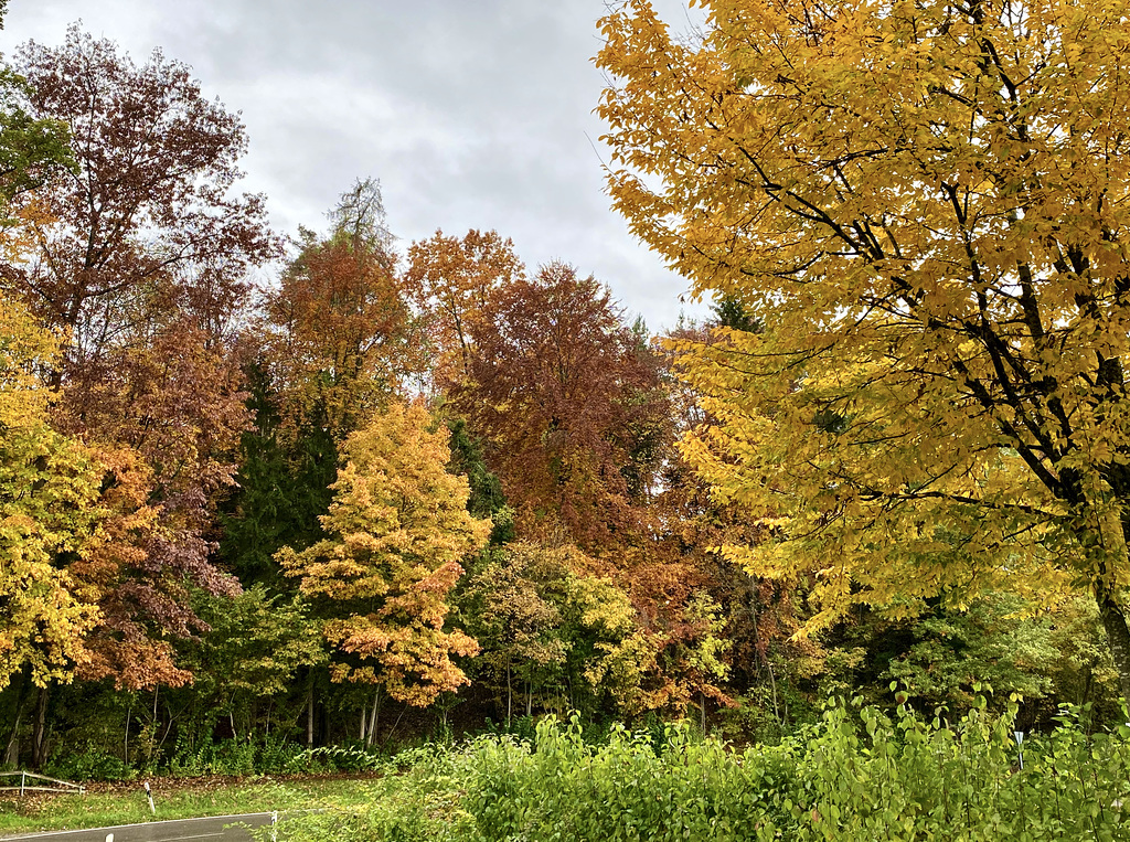 Herbstfarben