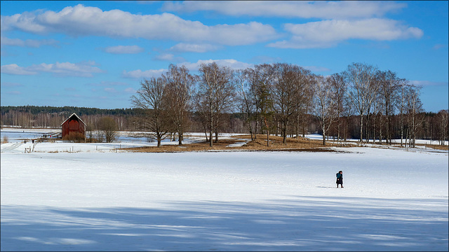 walk