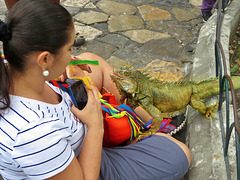 Parc de les Iguanes-Guayaquil-Ecuador