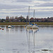 Bosham Harbour View