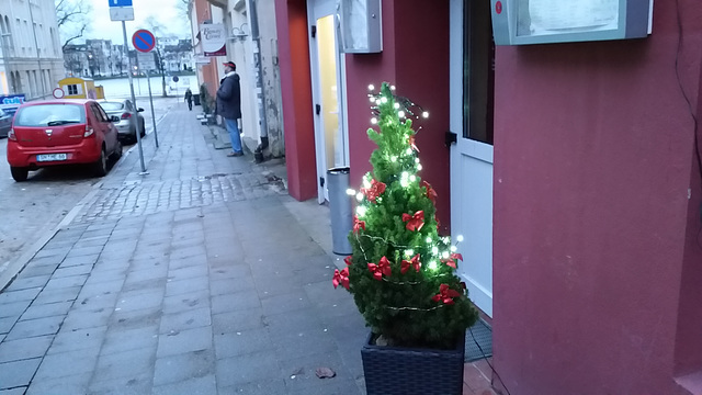 tannenbaum Schwerin 2014