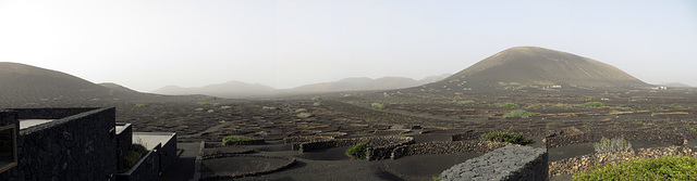 La Geria Panorama