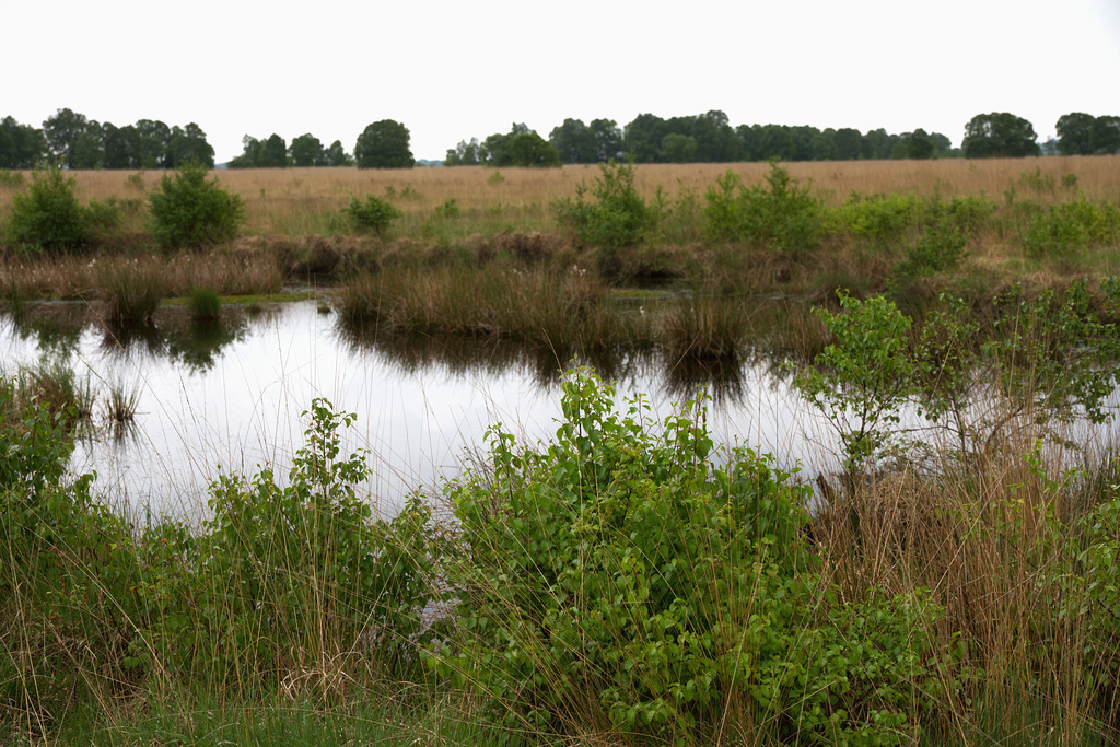 Landschaftsschutzgebiet