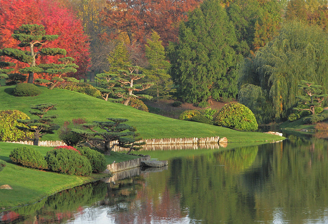 Japanese Garden Scene in Autumn