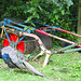 Colourful corner of the farmyard