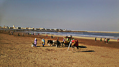 Plage d'el Jadida , Maroc.