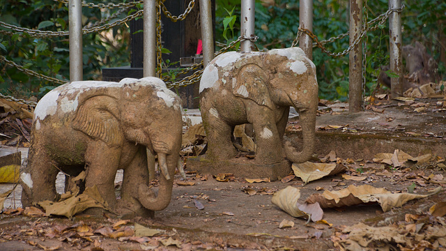 beim Wat Phra That Pu Khao (© Buelipix)