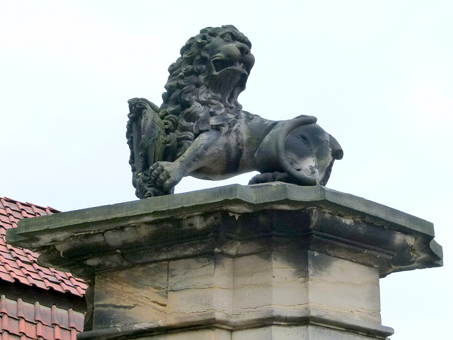 Löwe in Halberstadt