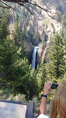 Yellowstone' s falls / Chute Yellowstonienne