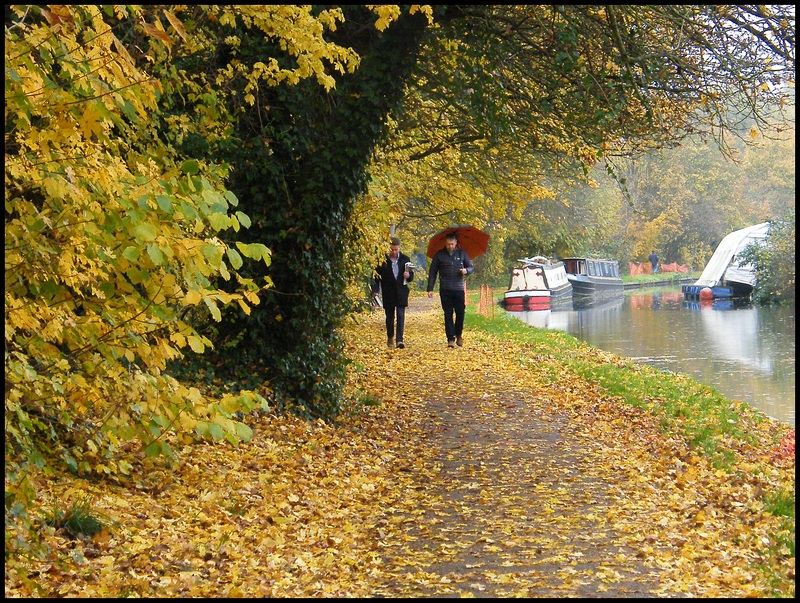 rainy day in autumn