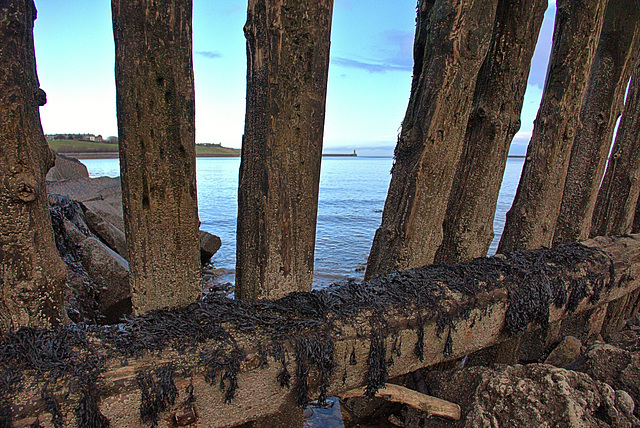 Looking through the staithes and out to sea