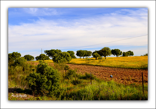 Campos de Extremadura Campos de Extremadura