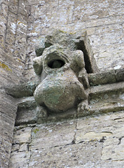 steeple ashton church wilts c16 beastie (4)