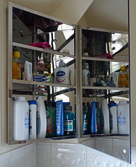 The bathroom cabinet