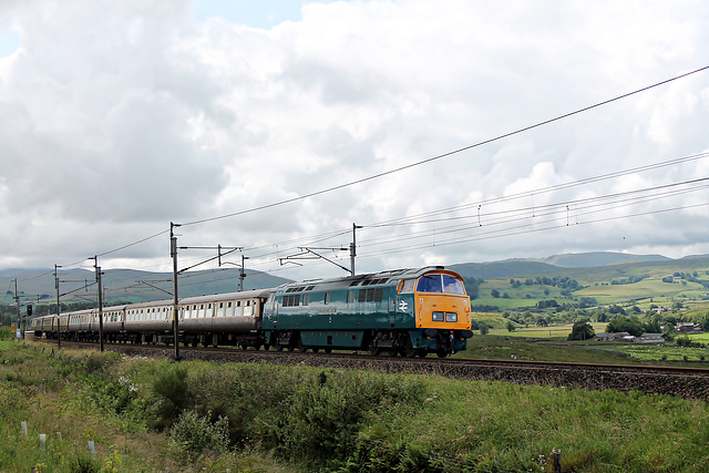 Class 52 Western D1015 WESTERN CHAMPION climbing Shap at Scout Green with 1Z15 06.55 Birmingham New Street - Carlisle The Western Mountaineer  2nd July 2025.