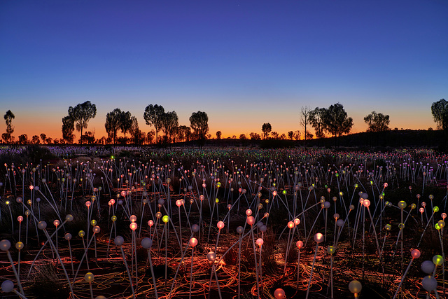 Field of Light