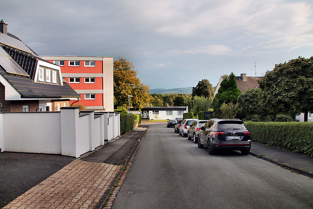 Im Dorloh (Herdecke) / 16.09.2024