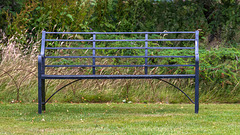 Happy Bench Monday Happy Bench Monday