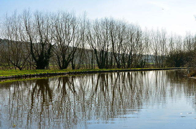 Stafford and Worcestershire Canal