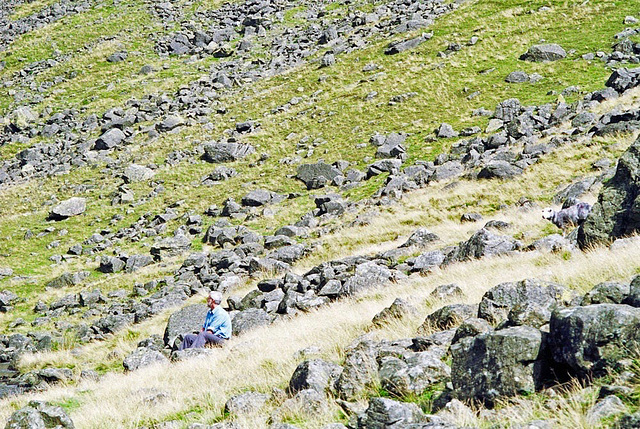 Slopes of Middle Fell above Greendale Tarn (Scan from Aug 1992)