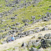 Slopes of Middle Fell above Greendale Tarn (Scan from Aug 1992)